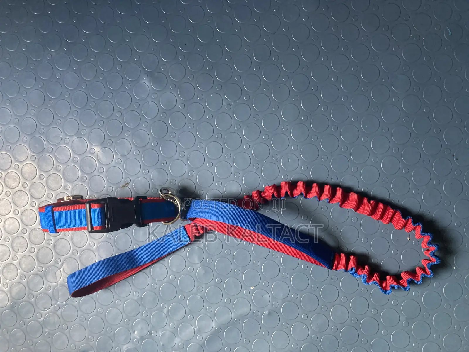 Complete Leash and Collars