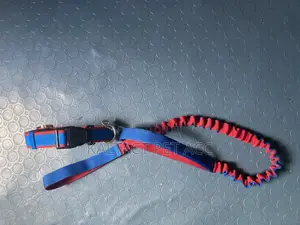 Complete Leash and Collars