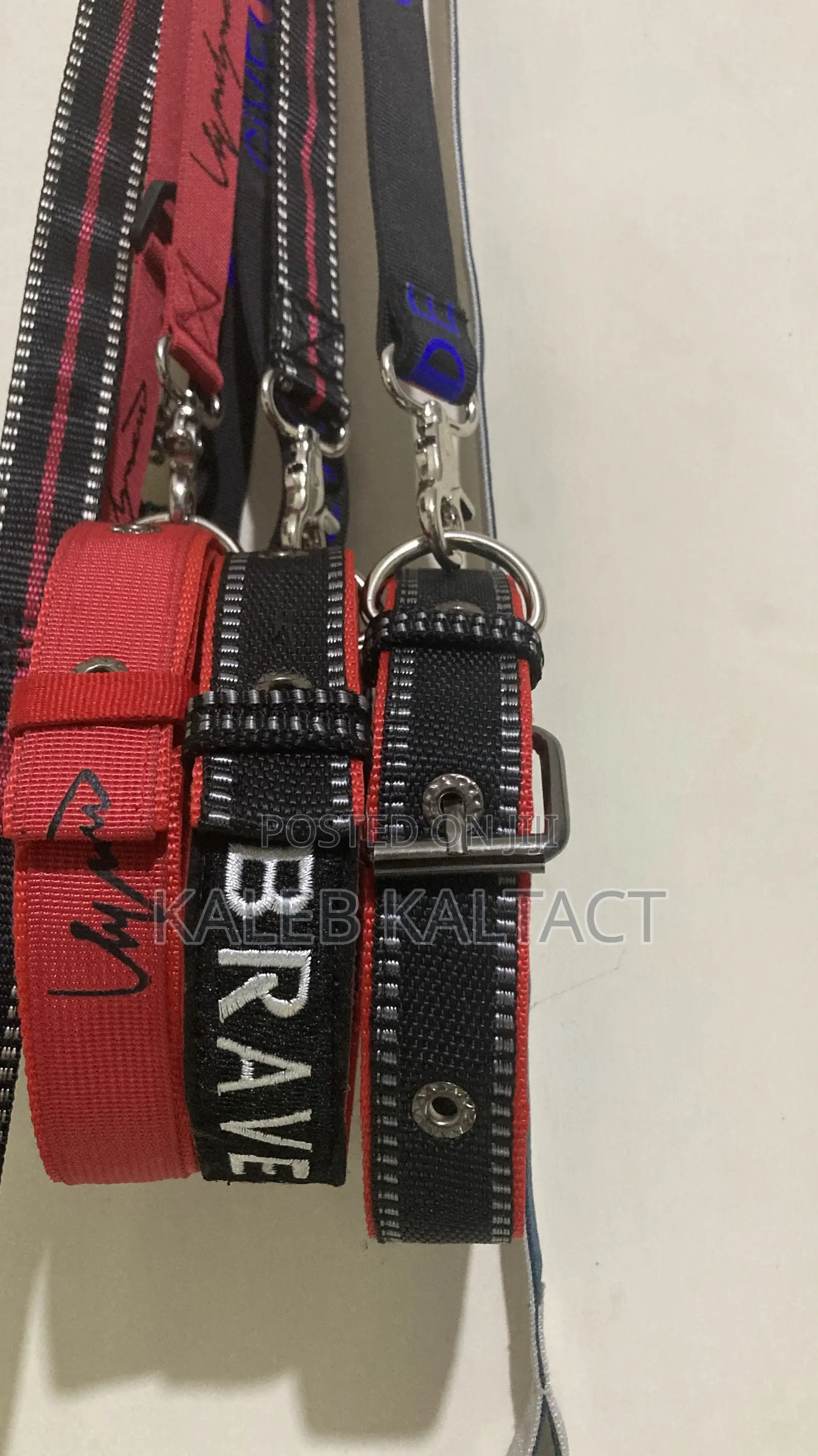 Metal Buckled Dog Collar and Leash