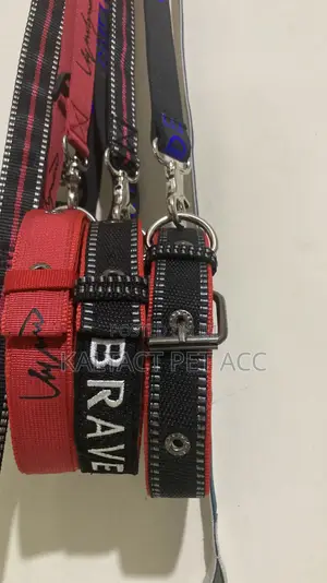 Metal Buckled Dog Collar and Leash