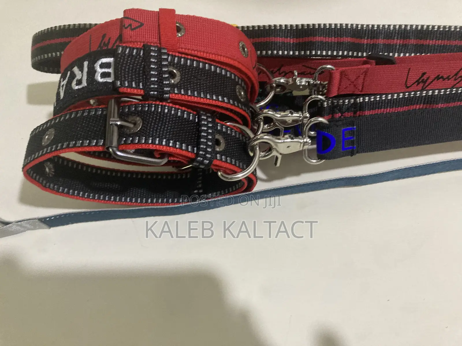 Metal Buckled Dog Collar and Leash