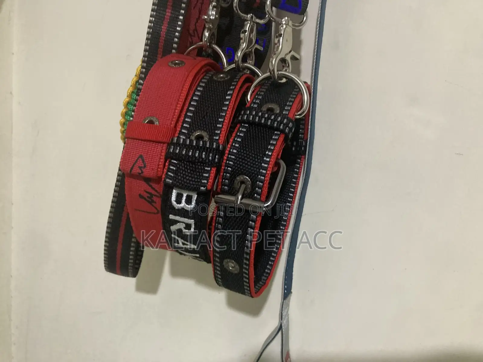 Metal Buckled Dog Collar and Leash