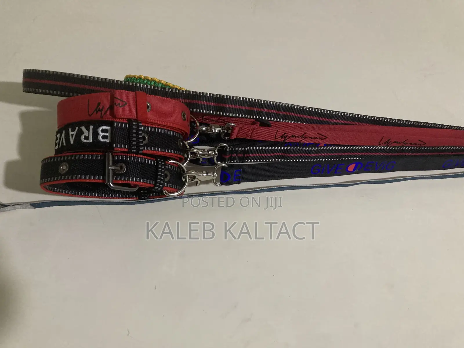 Metal Buckled Dog Collar and Leash