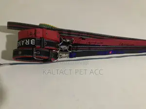 Metal Buckled Dog Collar and Leash