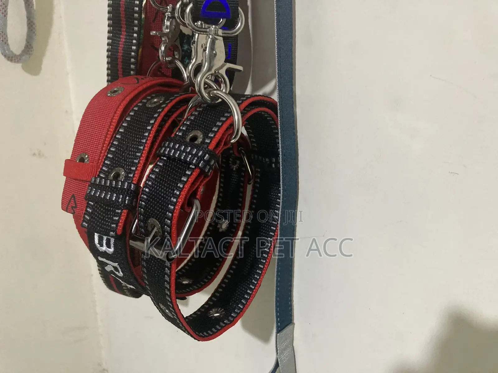 Metal Buckled Dog Collar and Leash