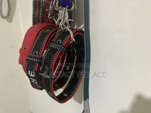 Metal Buckled Dog Collar and Leash