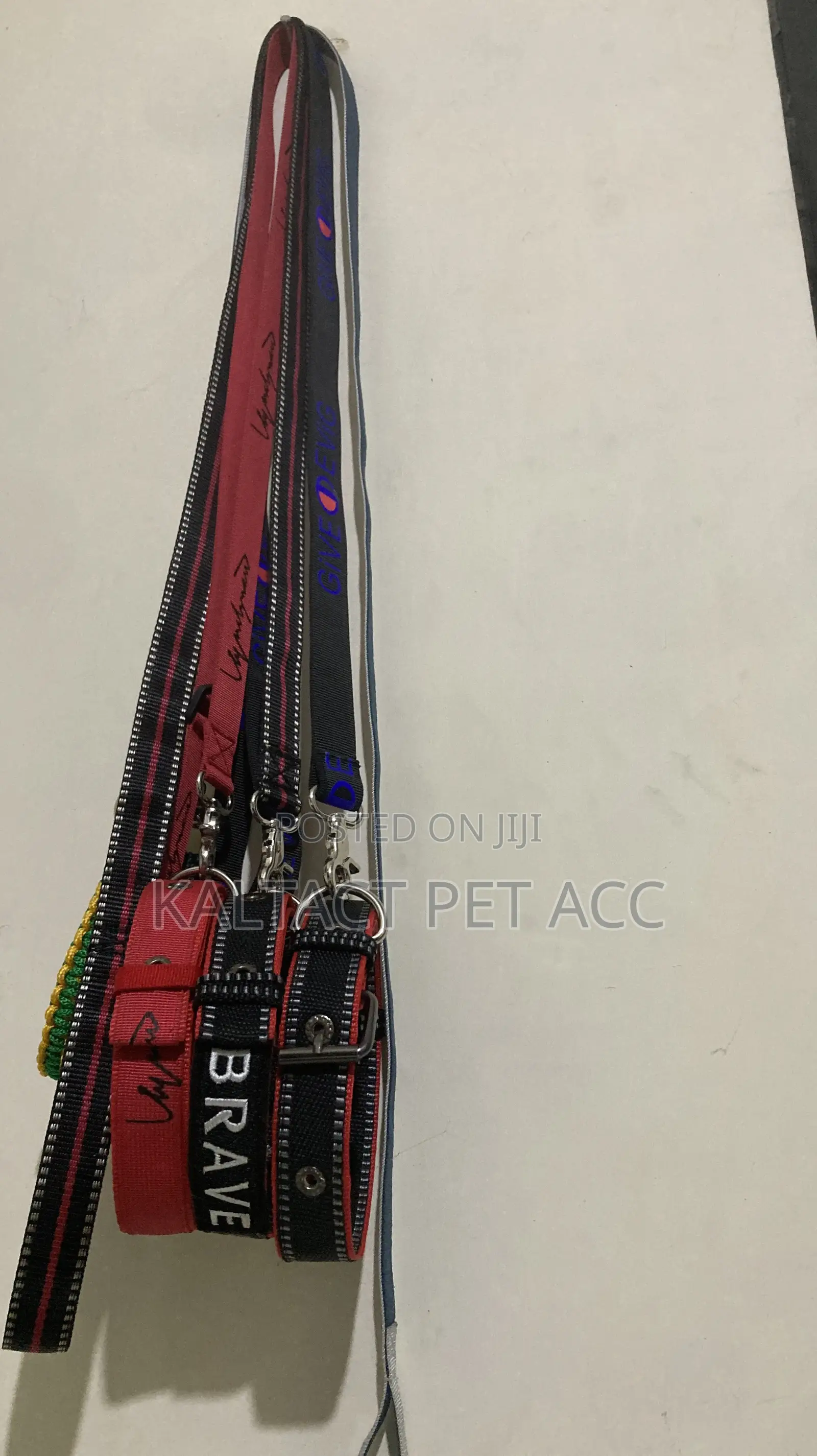 Metal Buckled Dog Collar and Leash