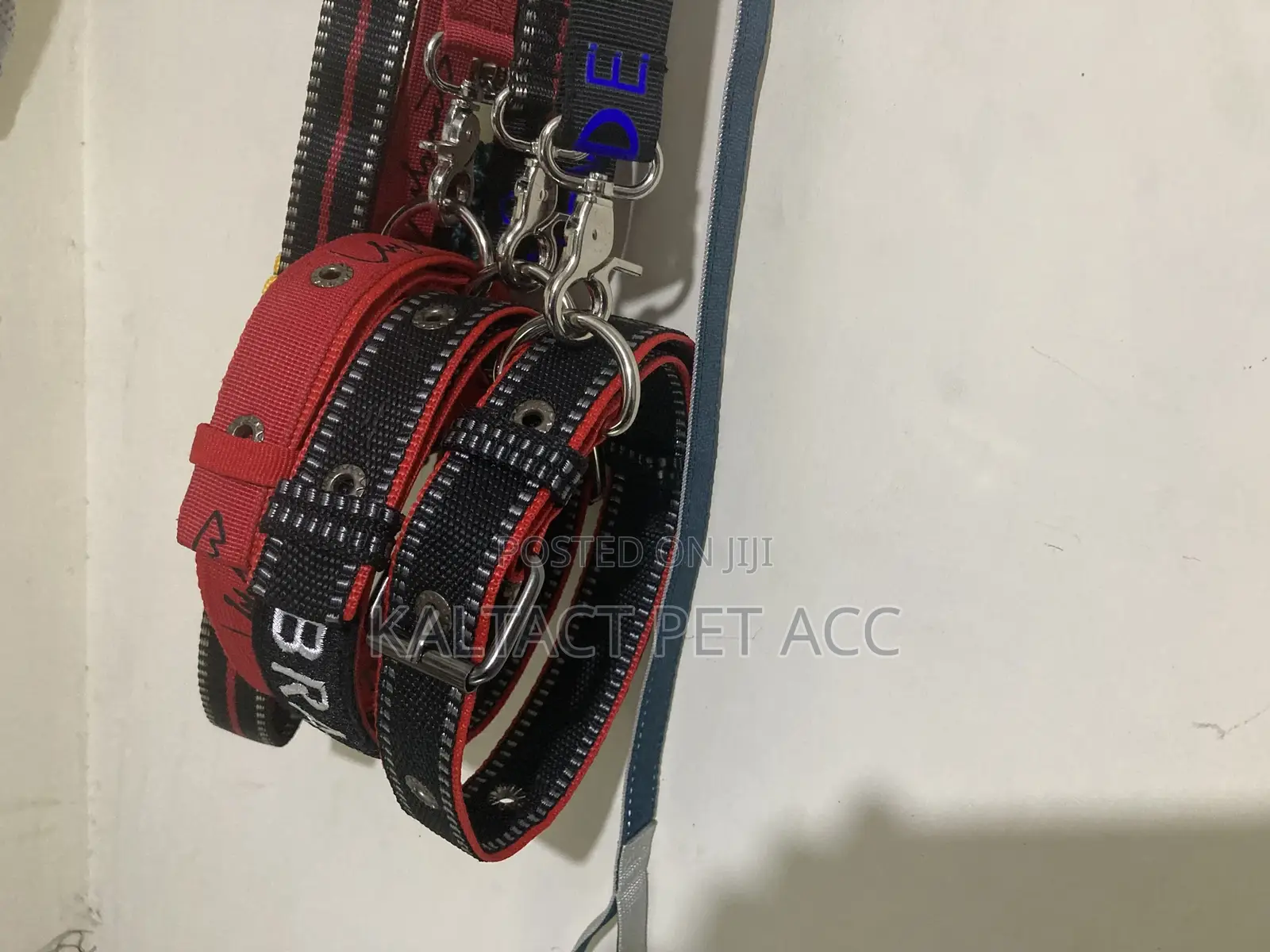 Metal Buckled Dog Collar and Leash