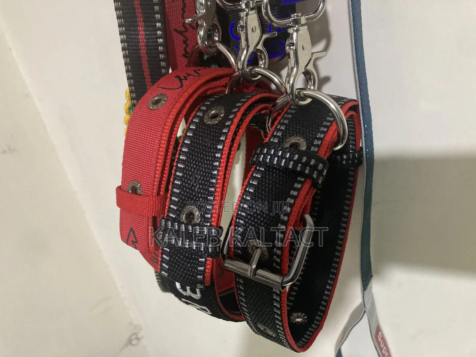 Metal Buckled Dog Collar and Leash