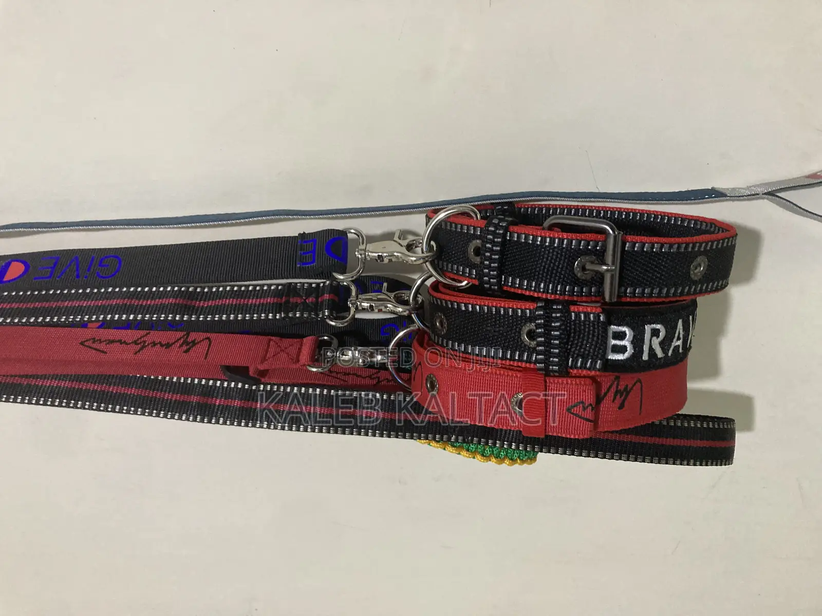 Metal Buckled Dog Collar and Leash