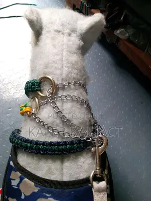 Heavy Duty Paracorde Collar and Leash