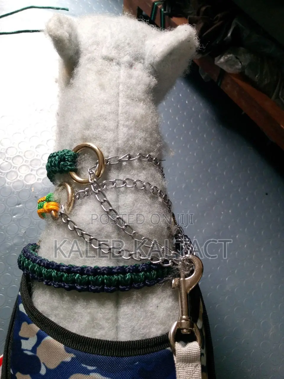 Heavy Duty Paracorde Collar and Leash