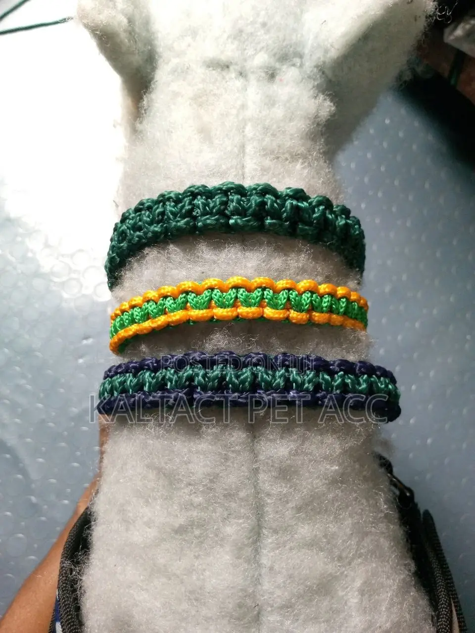 Heavy Duty Paracorde Collar and Leash