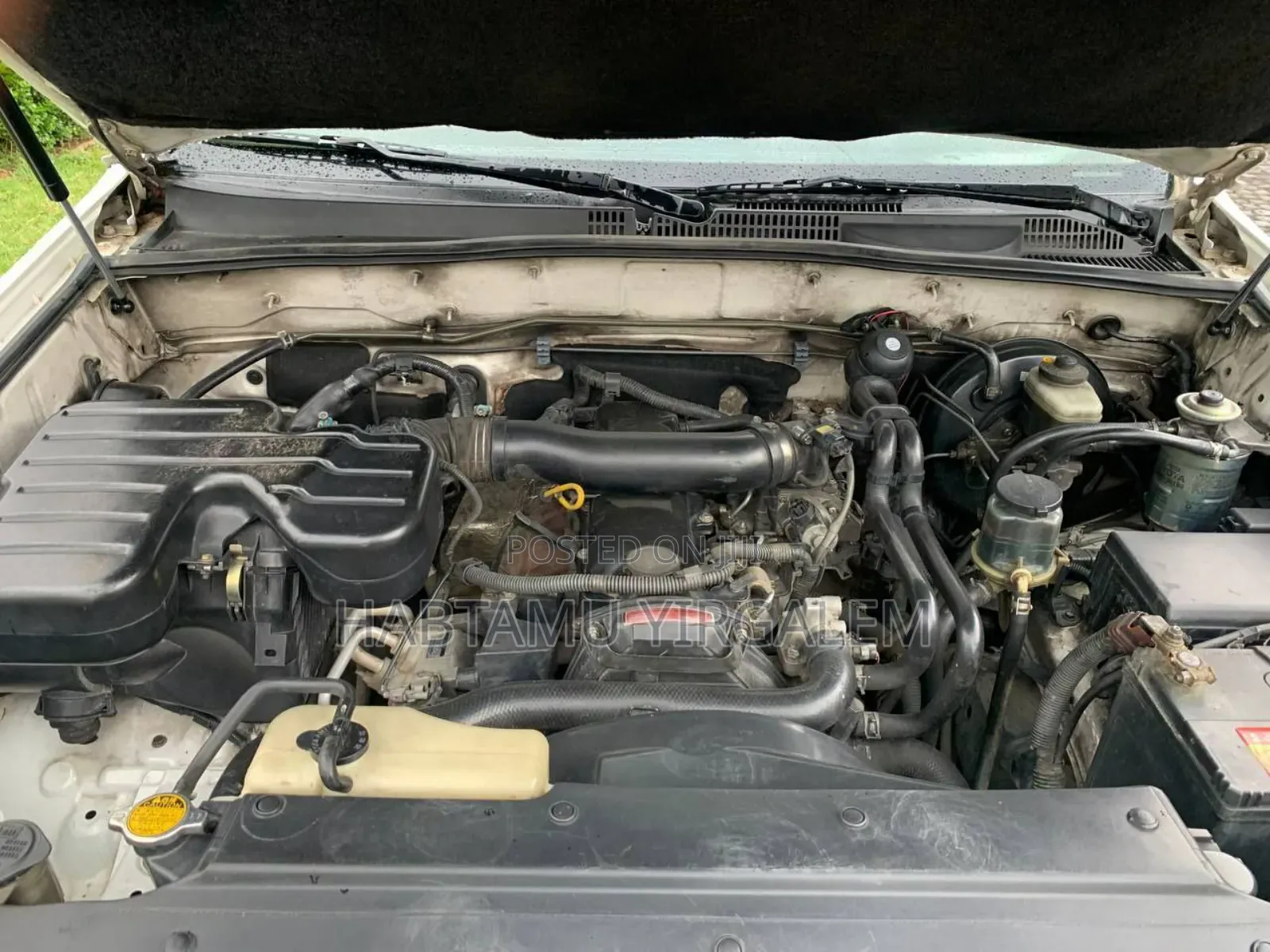 Toyota Land Cruiser Prado 2004 White