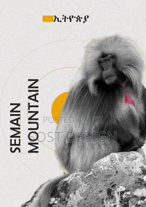 Photo - Poster Design