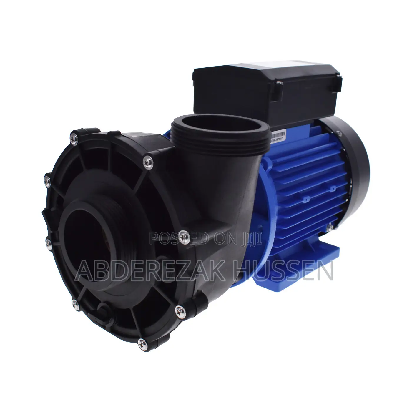 Massage or Spa Pump 2 HP LP200