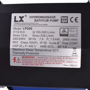 Massage or Spa Pump 2 HP LP200