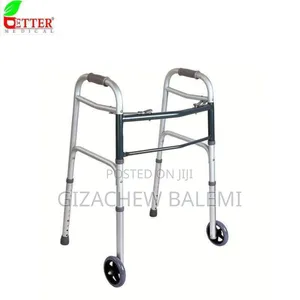 Photo - Walkers for Rental Basis