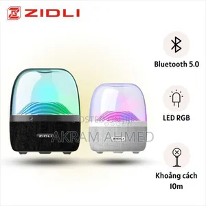 ZIDLI Mini Speaker