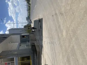 1bdrm Condo in Bole Bolbula for rent