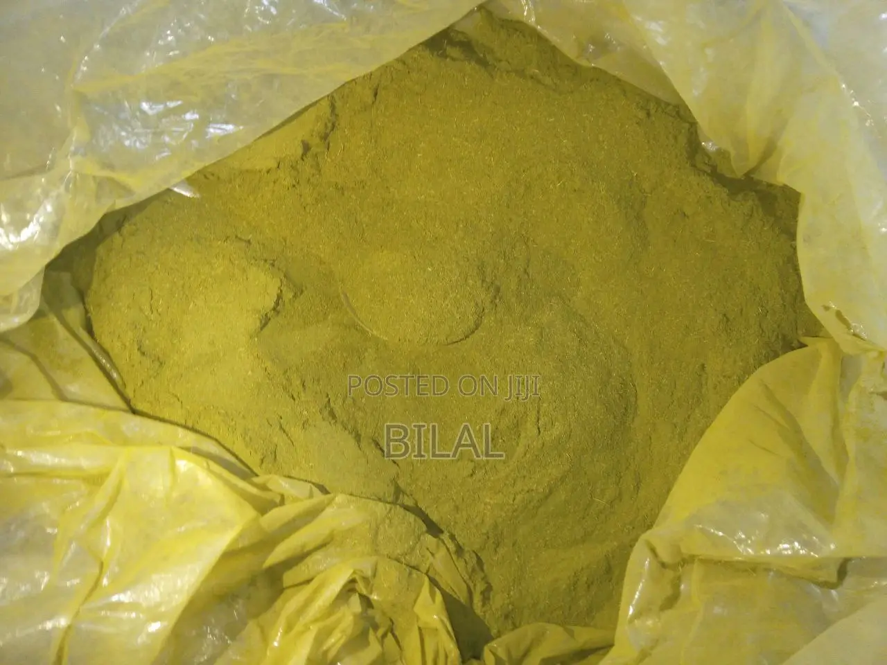 Moringa Powder የሞሪንጋ (ሽፈራው) ዱቄት