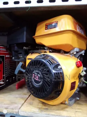 Photo - Lifan Engine 13hp
