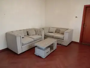 Photo - Furnished 2bdrm Apartment in Lideta for rent