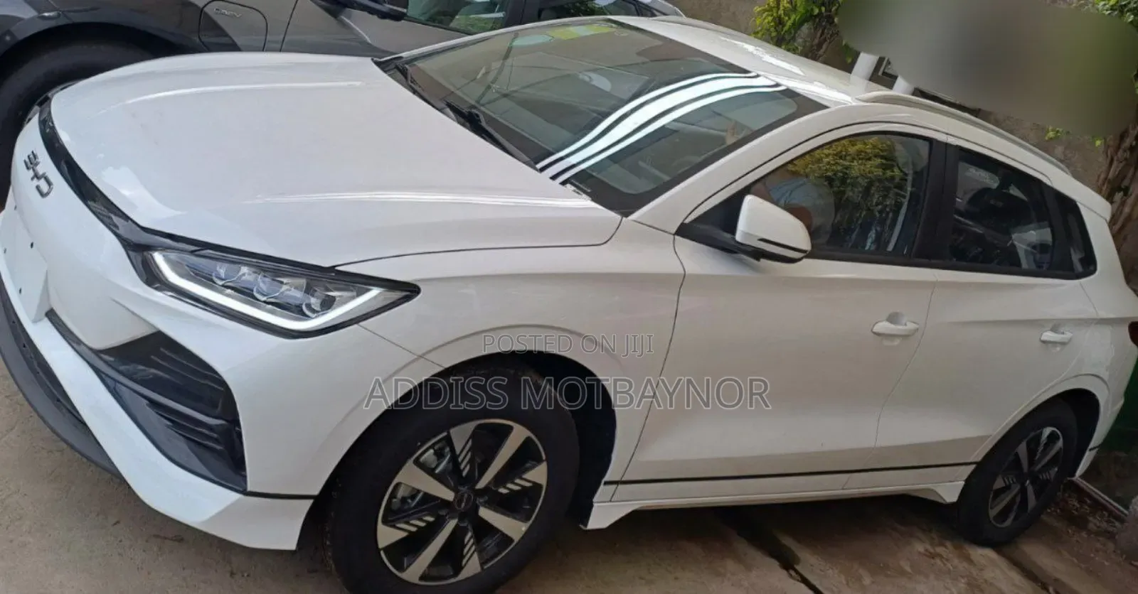 New BYD Seagull 2024