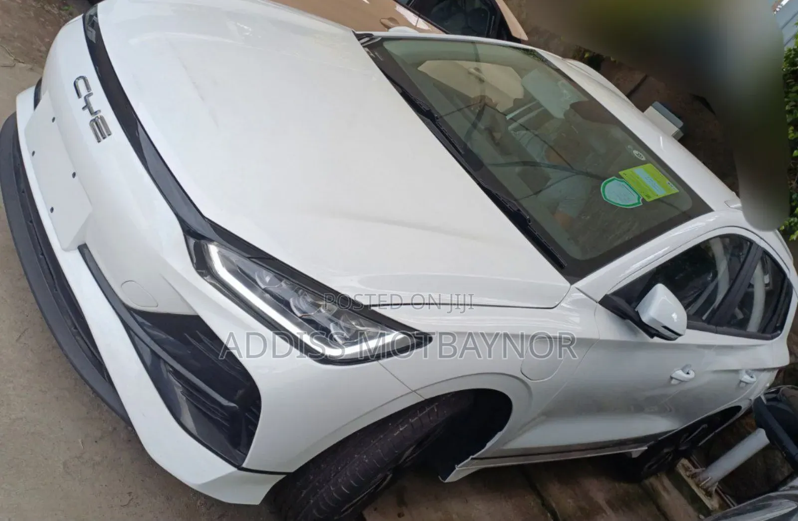 New BYD Seagull 2024