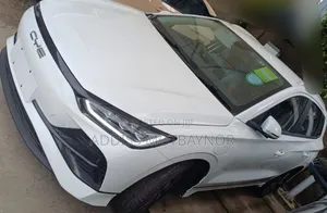 New BYD Seagull 2024