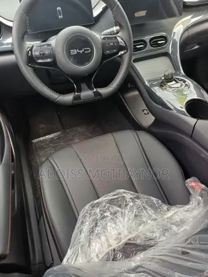 New BYD Seagull 2024