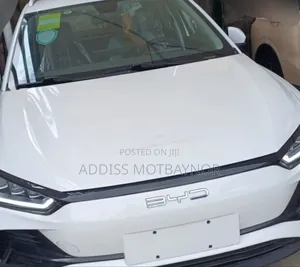 New BYD Seagull 2024