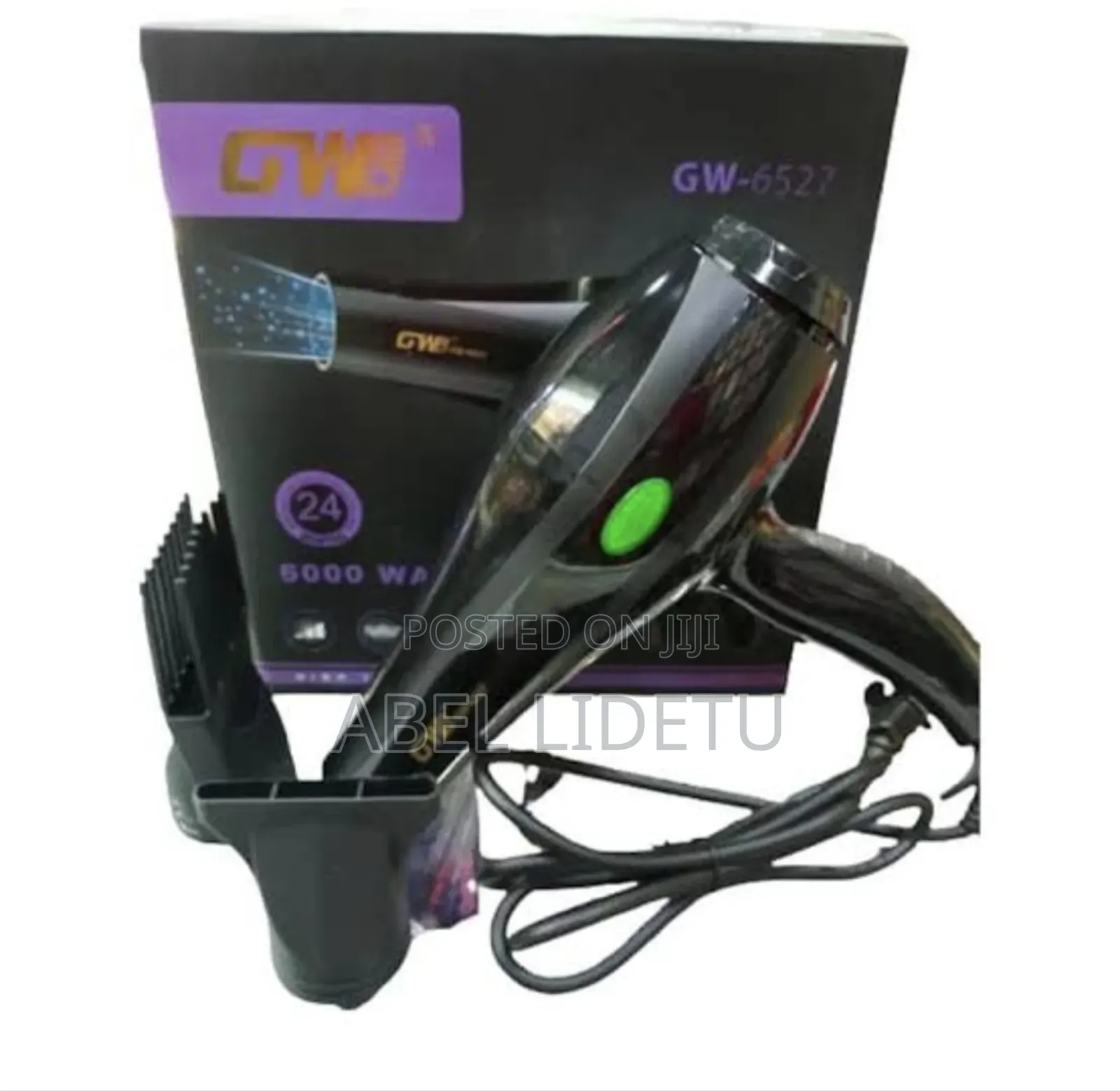 Gw Professional Salon Hair Dryer