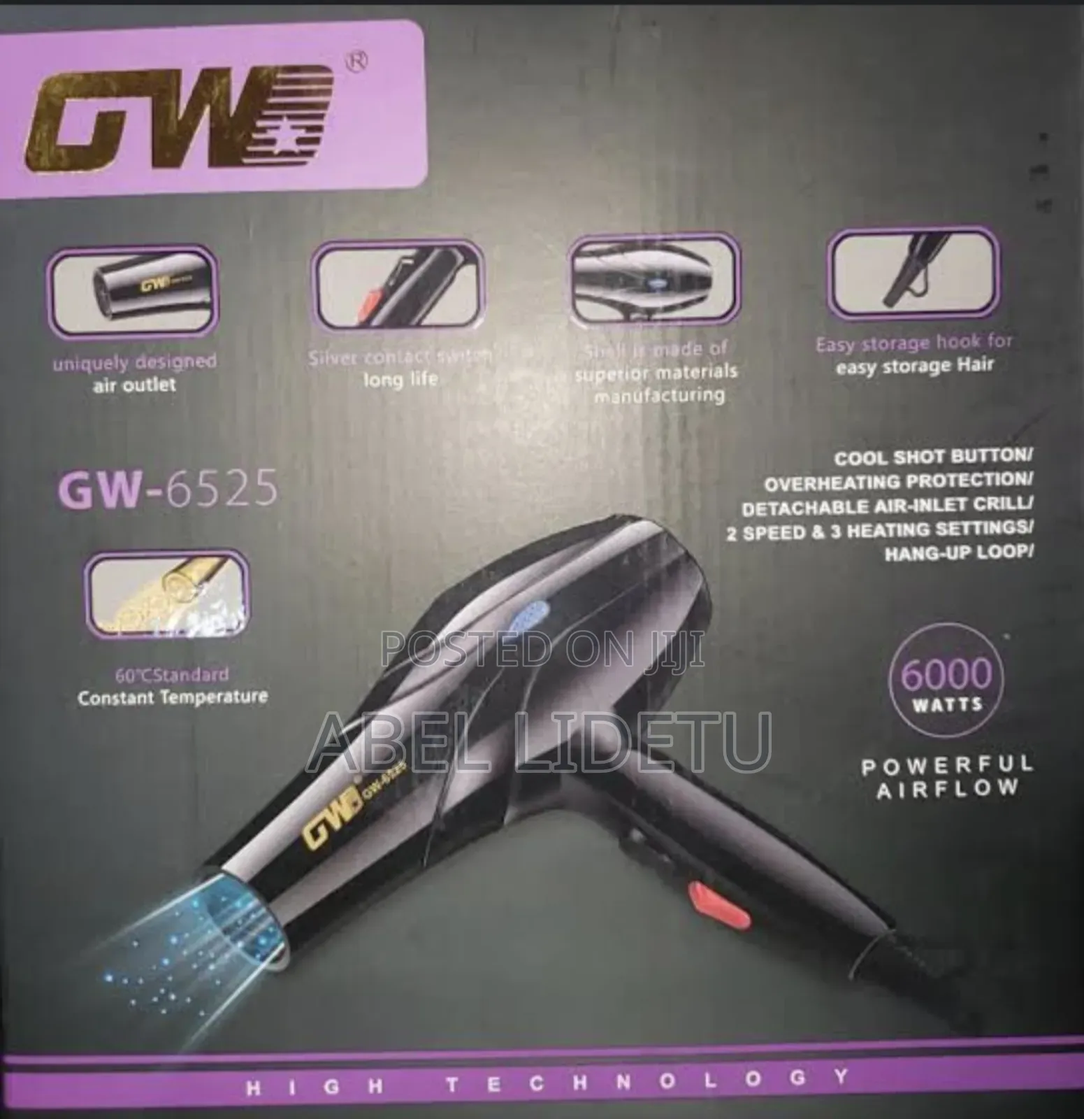 Gw Professional Salon Hair Dryer