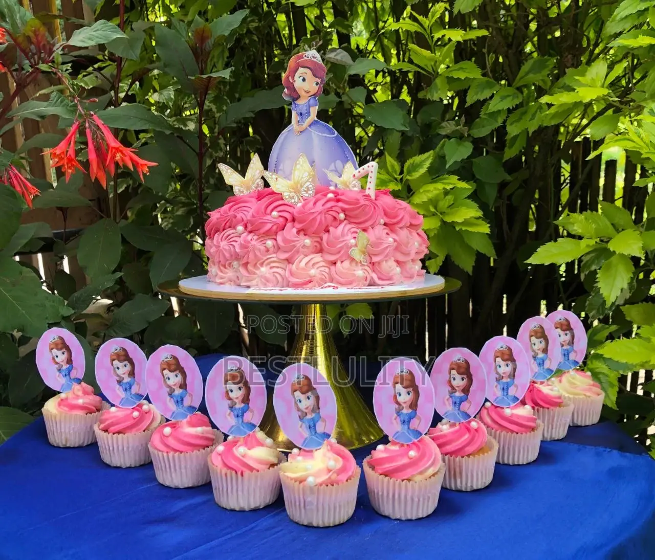 Graduation Cake and 12 Cupcakes