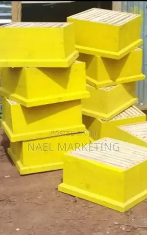 ዘመናዊ የንብ ቀፎ