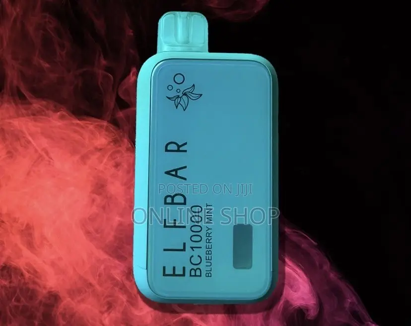 Elfbar Blueberry Mint Flavor