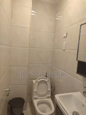 Furnished 3bdrm Apartment in 3Bedroom Luxury, Bole for rent