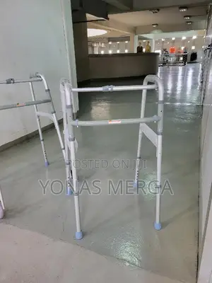 Photo - Aluminum Walking Frame With Wheels Skis-Peak