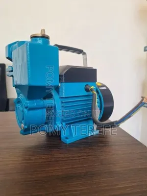 Water Pump Self-Priming Peripheral Pumps WZB