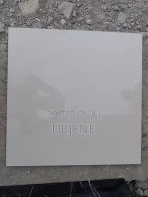 China and Indian Porcelain 60*60