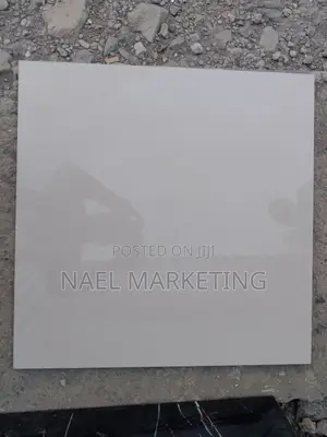 China and Indian Porcelain 60*60