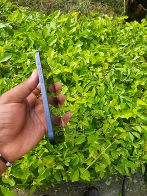 Apple iPhone 12 64 GB Black