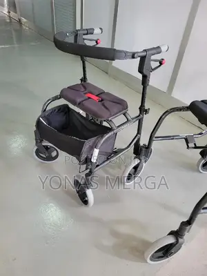 Eurpean Imported 4wheeld Hand Brake Walker፮¤COSTWAY 2 in 1