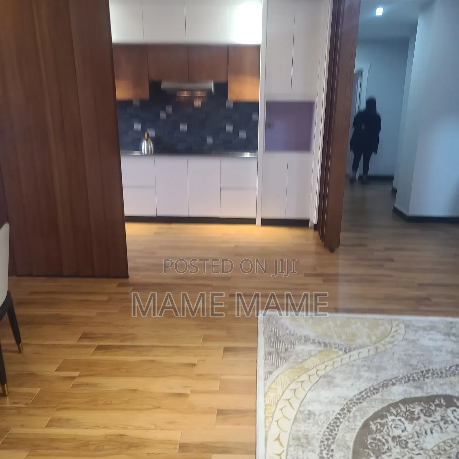 Furnished 2bdrm Apartment in Addis Abeba, Bole for rent