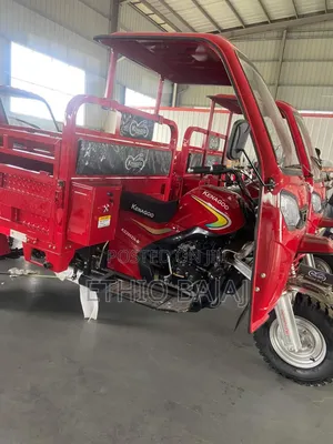 New Bajaj 2024