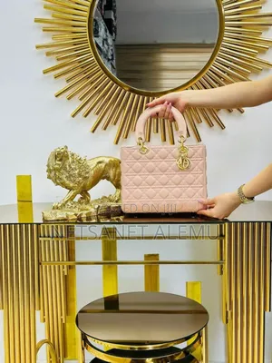 New Trend Bag for Women