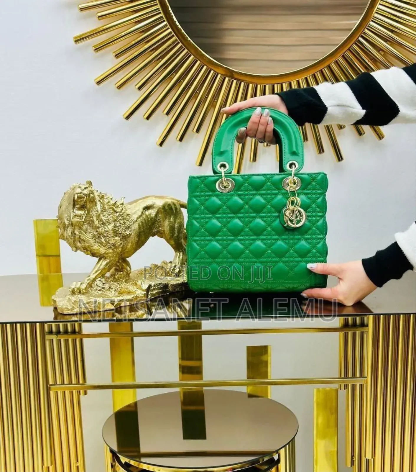 New Trend Bag for Women