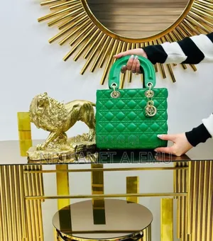 New Trend Bag for Women