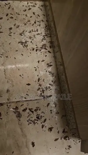 በረሮ ማጥፊያ Cockroch Killer